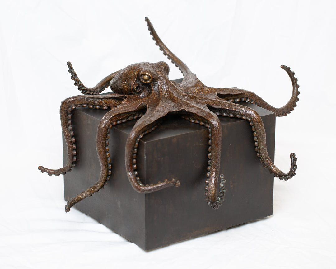 Octopus bronze sculpture by Tom Saxton draped across a dark patinated steel cube plinth, stylised marine creature with flowing tentacles in rich dark bronze and warm copper-brown tones, contemporary ocean wildlife bronze artwork