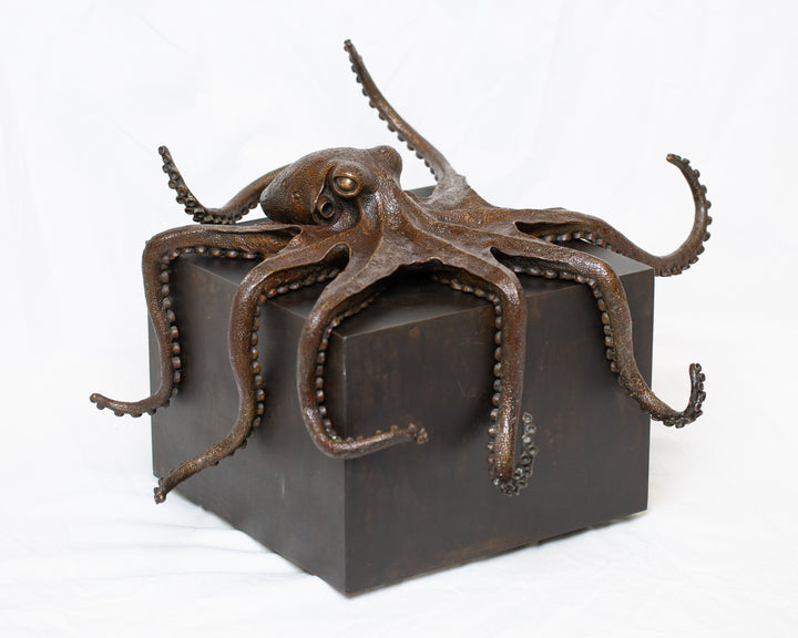 Octopus bronze sculpture by Tom Saxton draped across a dark patinated steel cube plinth, stylised marine creature with flowing tentacles in rich dark bronze and warm copper-brown tones, contemporary ocean wildlife bronze artwork