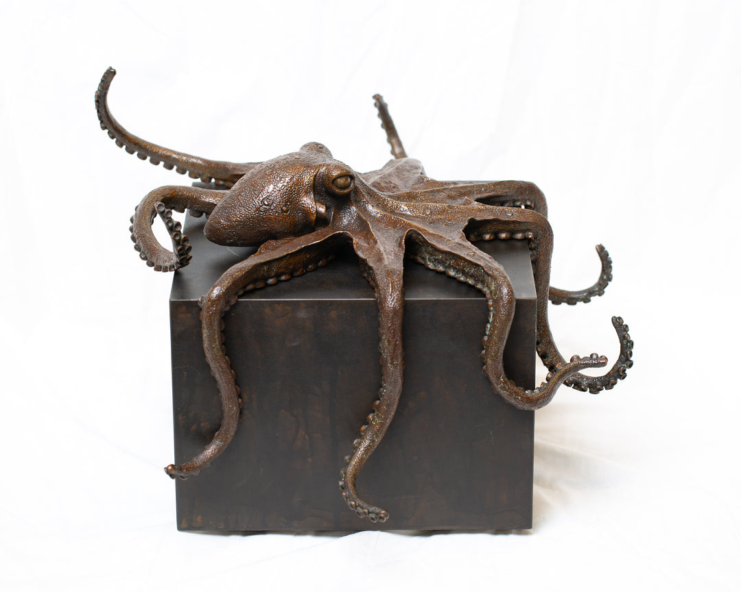 Octopus bronze sculpture by Tom Saxton draped across a dark patinated steel cube plinth, stylised marine creature with flowing tentacles in rich dark bronze and warm copper-brown tones, contemporary ocean wildlife bronze artwork
