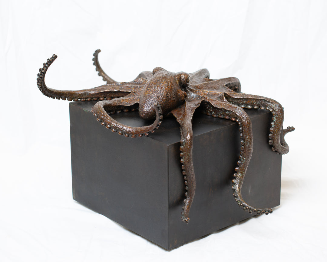 Octopus bronze sculpture by Tom Saxton draped across a dark patinated steel cube plinth, stylised marine creature with flowing tentacles in rich dark bronze and warm copper-brown tones, contemporary ocean wildlife bronze artwork