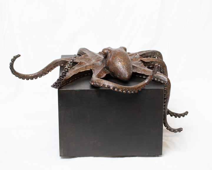 Octopus bronze sculpture by Tom Saxton draped across a dark patinated steel cube plinth, stylised marine creature with flowing tentacles in rich dark bronze and warm copper-brown tones, contemporary ocean wildlife bronze artwork