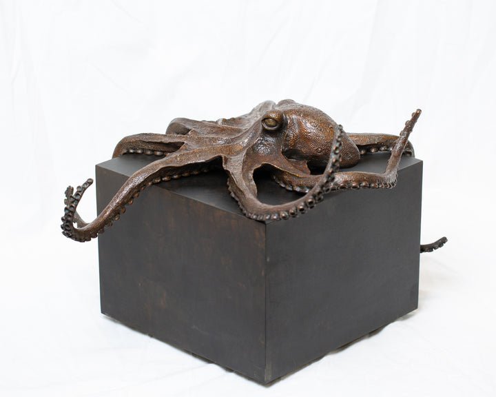 Octopus bronze sculpture by Tom Saxton draped across a dark patinated steel cube plinth, stylised marine creature with flowing tentacles in rich dark bronze and warm copper-brown tones, contemporary ocean wildlife bronze artwork