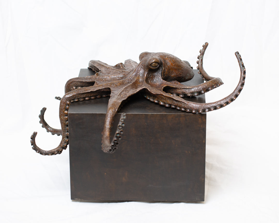 Octopus bronze sculpture by Tom Saxton draped across a dark patinated steel cube plinth, stylised marine creature with flowing tentacles in rich dark bronze and warm copper-brown tones, contemporary ocean wildlife bronze artwork