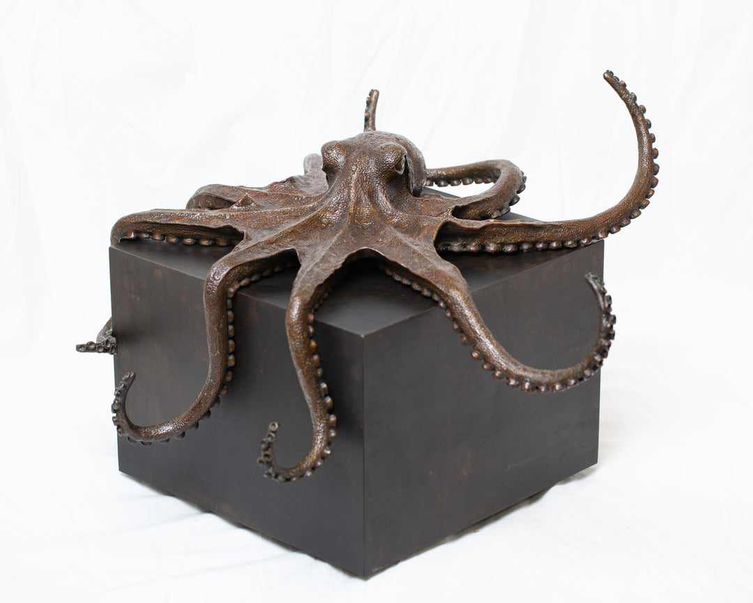 Octopus bronze sculpture by Tom Saxton draped across a dark patinated steel cube plinth, stylised marine creature with flowing tentacles in rich dark bronze and warm copper-brown tones, contemporary ocean wildlife bronze artwork