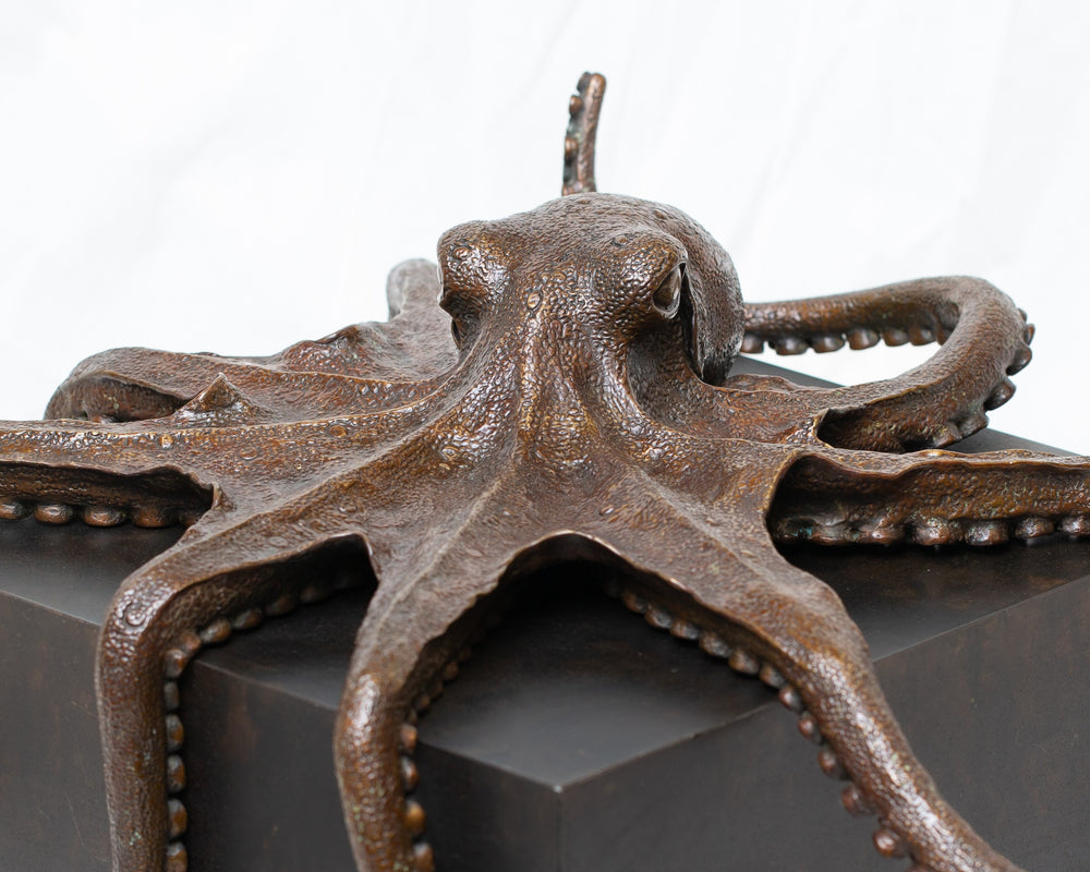 Octopus bronze sculpture by Tom Saxton draped across a dark patinated steel cube plinth, stylised marine creature with flowing tentacles in rich dark bronze and warm copper-brown tones, contemporary ocean wildlife bronze artwork