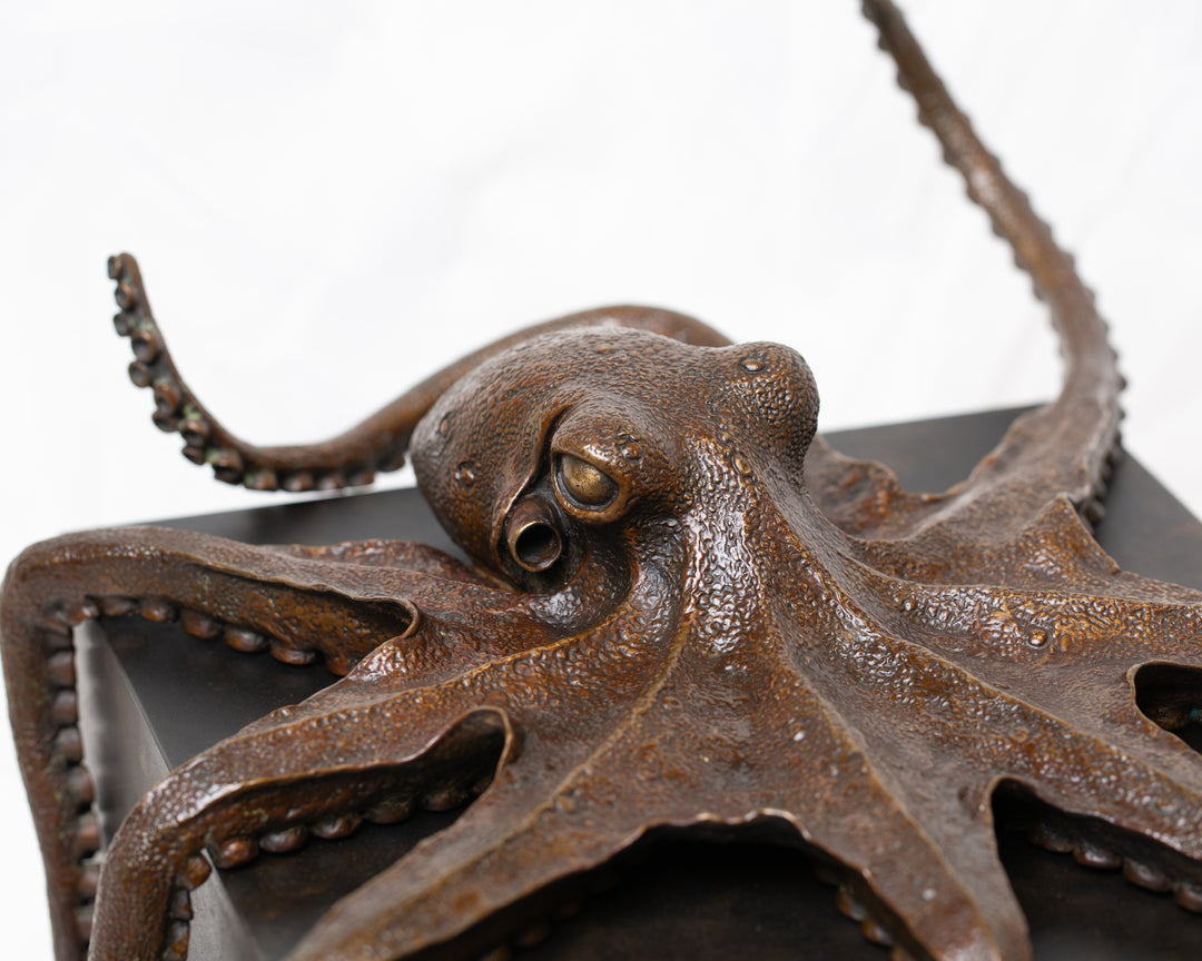 Octopus bronze sculpture by Tom Saxton draped across a dark patinated steel cube plinth, stylised marine creature with flowing tentacles in rich dark bronze and warm copper-brown tones, contemporary ocean wildlife bronze artwork