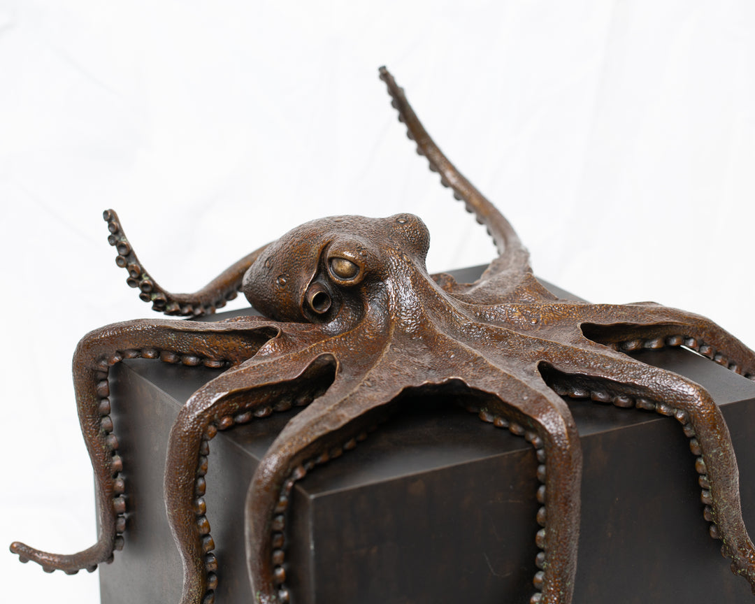 Octopus bronze sculpture by Tom Saxton draped across a dark patinated steel cube plinth, stylised marine creature with flowing tentacles in rich dark bronze and warm copper-brown tones, contemporary ocean wildlife bronze artwork