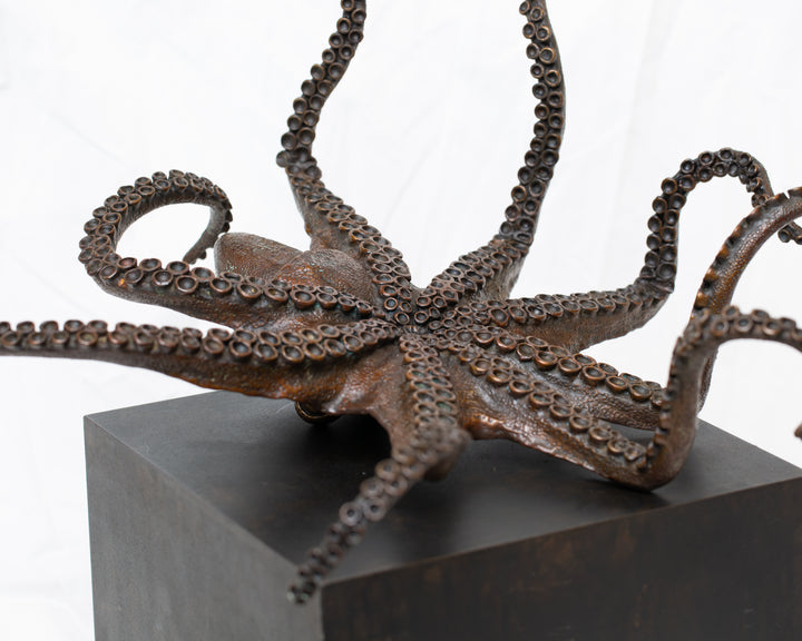 Octopus bronze sculpture by Tom Saxton draped across a dark patinated steel cube plinth, stylised marine creature with flowing tentacles in rich dark bronze and warm copper-brown tones, contemporary ocean wildlife bronze artwork