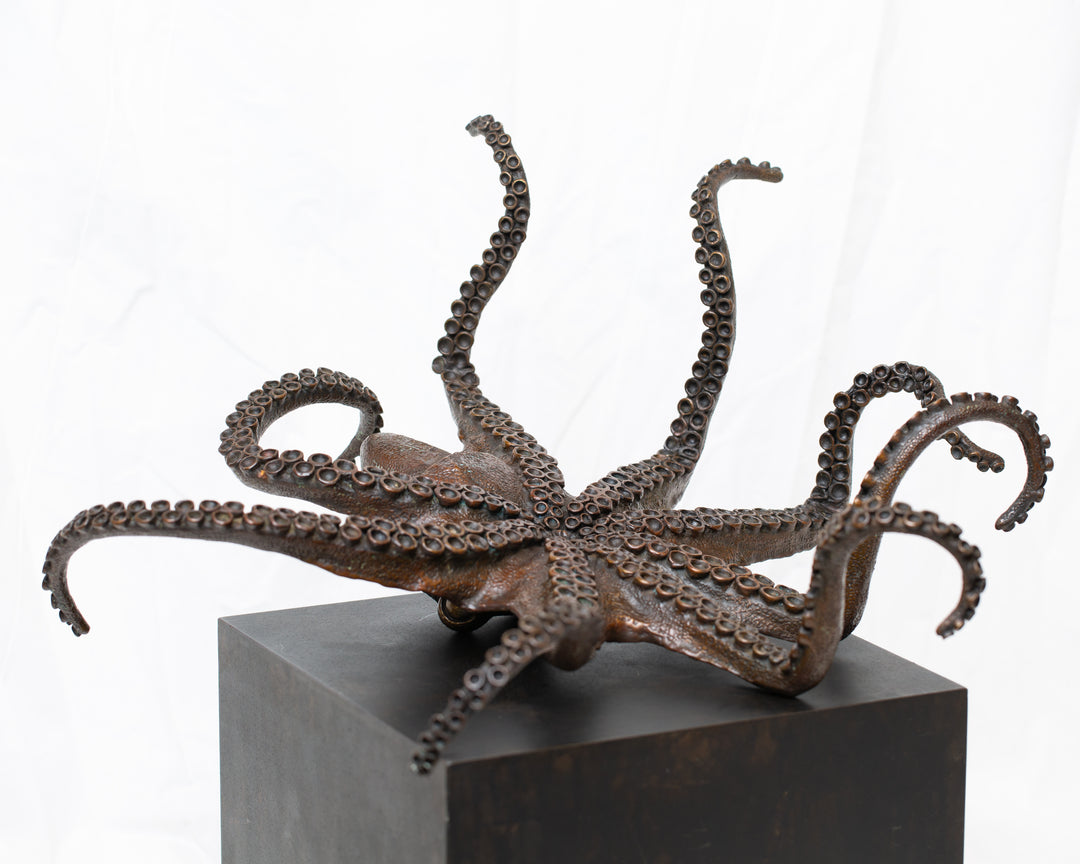 Octopus bronze sculpture by Tom Saxton draped across a dark patinated steel cube plinth, stylised marine creature with flowing tentacles in rich dark bronze and warm copper-brown tones, contemporary ocean wildlife bronze artwork