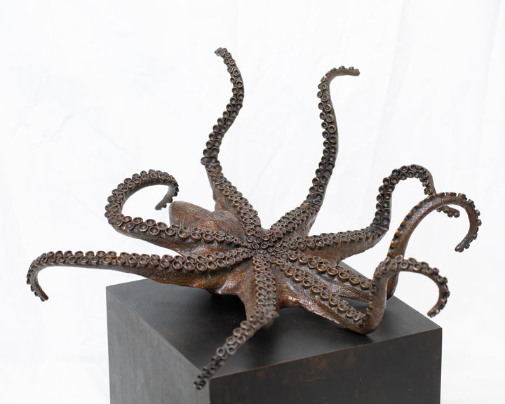 Octopus bronze sculpture by Tom Saxton draped across a dark patinated steel cube plinth, stylised marine creature with flowing tentacles in rich dark bronze and warm copper-brown tones, contemporary ocean wildlife bronze artwork