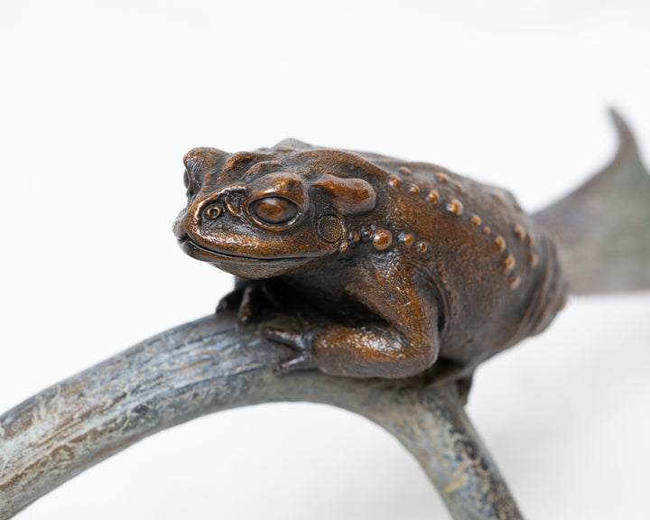 Sonoran Desert Toad bronze sculpture by Tom Saxton perched on a natural antler form, detailed amphibian wildlife sculpture in rich dark bronze and warm copper-brown tones with subtle green verdigris patina, natural world bronze artwork