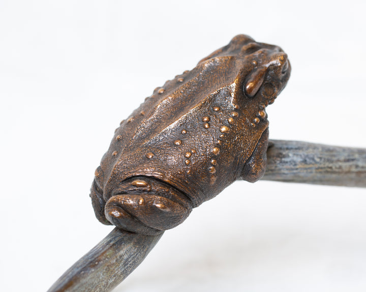 Sonoran Desert Toad bronze sculpture by Tom Saxton perched on a natural antler form, detailed amphibian wildlife sculpture in rich dark bronze and warm copper-brown tones with subtle green verdigris patina, natural world bronze artwork