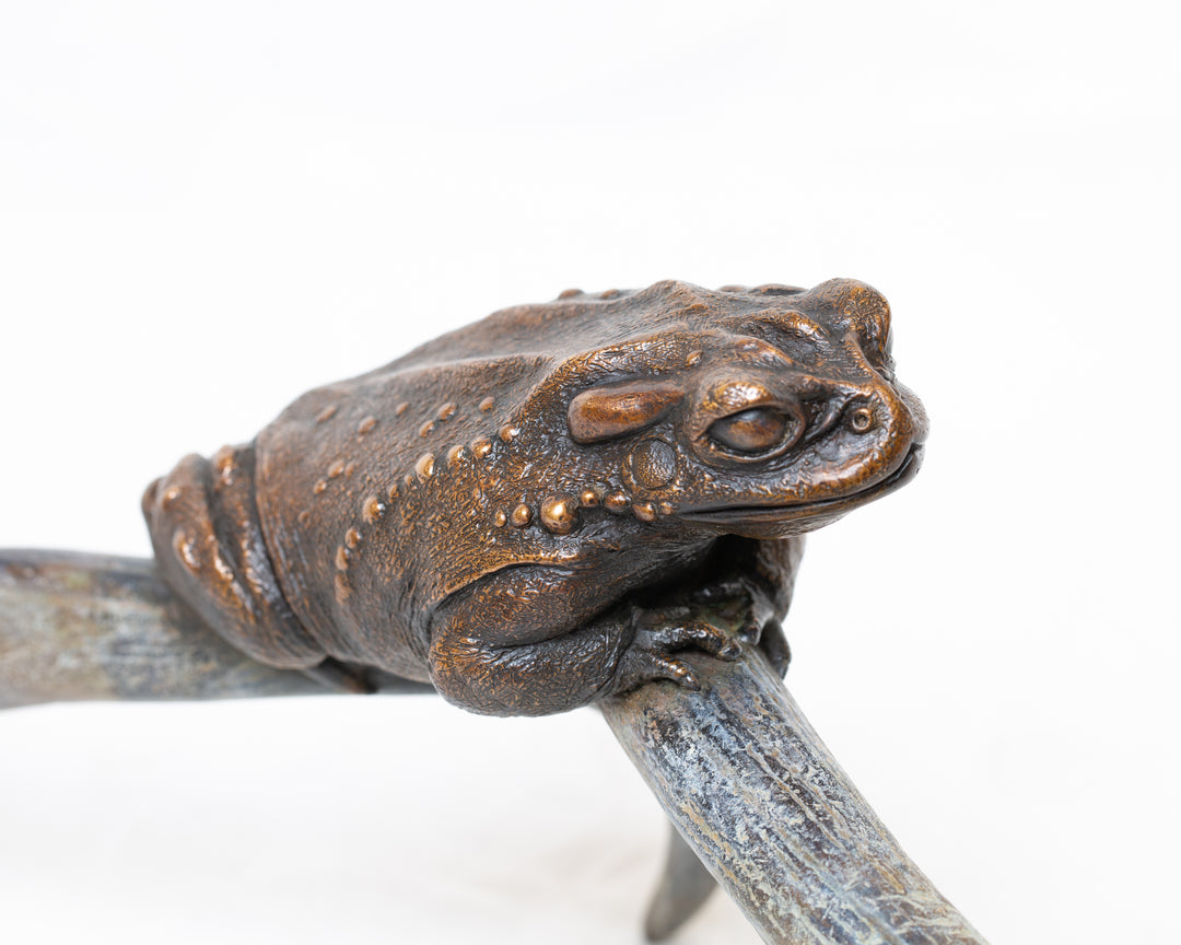 Sonoran Desert Toad bronze sculpture by Tom Saxton perched on a natural antler form, detailed amphibian wildlife sculpture in rich dark bronze and warm copper-brown tones with subtle green verdigris patina, natural world bronze artwork