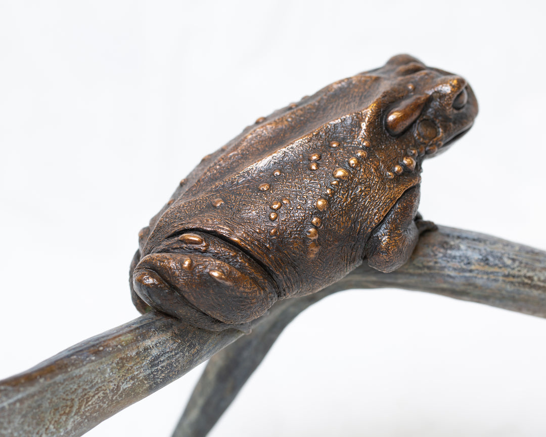Sonoran Desert Toad bronze sculpture by Tom Saxton perched on a natural antler form, detailed amphibian wildlife sculpture in rich dark bronze and warm copper-brown tones with subtle green verdigris patina, natural world bronze artwork