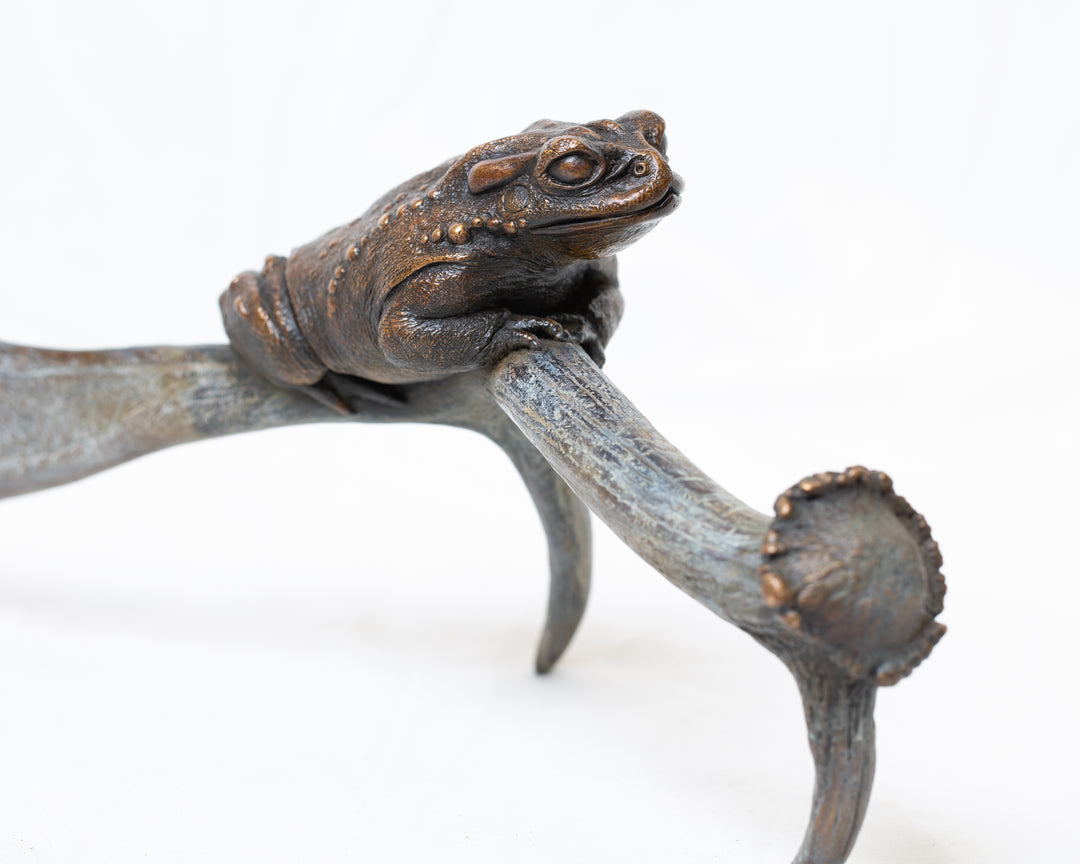 Sonoran Desert Toad bronze sculpture by Tom Saxton perched on a natural antler form, detailed amphibian wildlife sculpture in rich dark bronze and warm copper-brown tones with subtle green verdigris patina, natural world bronze artwork