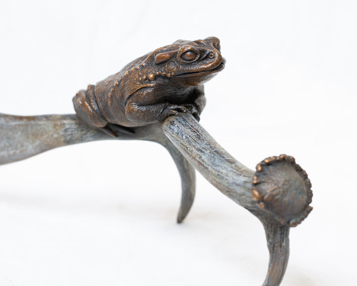 Sonoran Desert Toad bronze sculpture by Tom Saxton perched on a natural antler form, detailed amphibian wildlife sculpture in rich dark bronze and warm copper-brown tones with subtle green verdigris patina, natural world bronze artwork