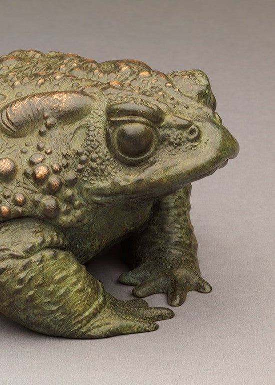 Nick Bibby bronze sculpture of a small toad in a seated, alert posture, detailed textured skin with raised bumps and a natural green–bronze patina.