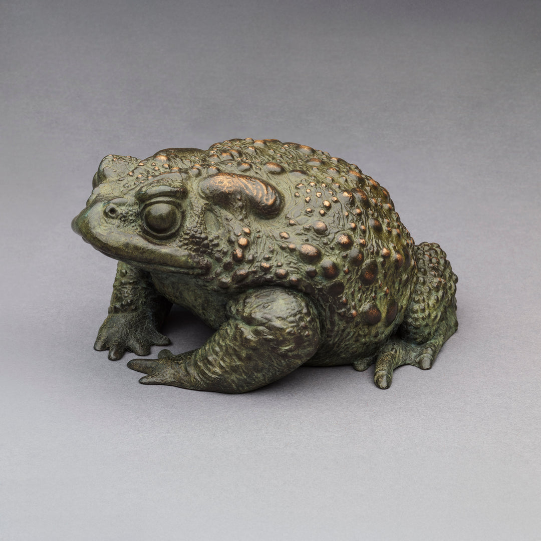 Nick Bibby bronze sculpture of a small toad in a seated, alert posture, detailed textured skin with raised bumps and a natural green–bronze patina.