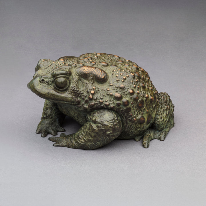 Nick Bibby bronze sculpture of a small toad in a seated, alert posture, detailed textured skin with raised bumps and a natural green–bronze patina.