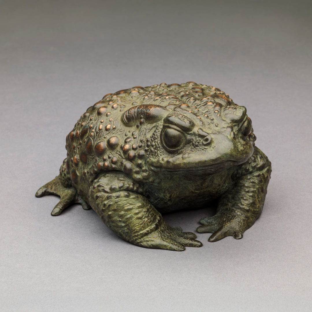 Nick Bibby bronze sculpture of a small toad in a seated, alert posture, detailed textured skin with raised bumps and a natural green–bronze patina.