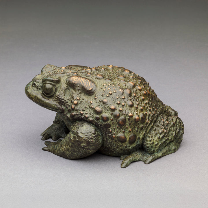 Nick Bibby bronze sculpture of a small toad in a seated, alert posture, detailed textured skin with raised bumps and a natural green–bronze patina.