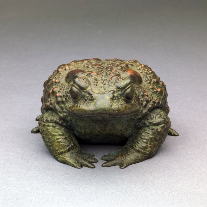 Nick Bibby bronze sculpture of a small toad in a seated, alert posture, detailed textured skin with raised bumps and a natural green–bronze patina.