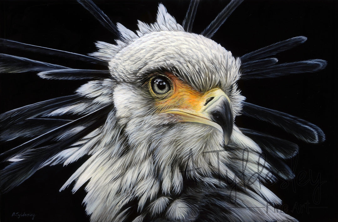 Close-up painting of a secretary bird with striking grey-white feathers, black crest plumes, and a sharp, hooked beak.