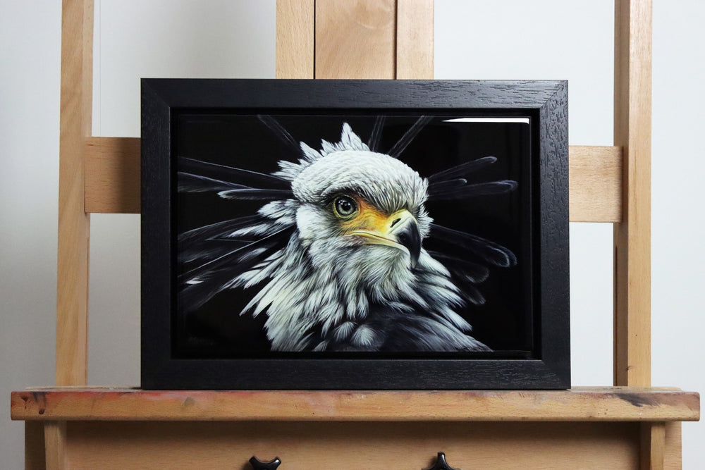 Close-up painting of a secretary bird with striking grey-white feathers, black crest plumes, and a sharp, hooked beak.