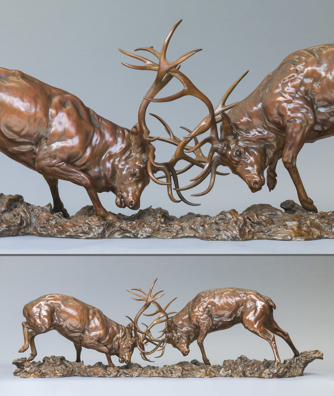Bronze sculpture of two red deer stags in mid-rut, antlers locked in a dynamic head-to-head clash, highly detailed musculature and patina, mounted on a textured bronze base.
