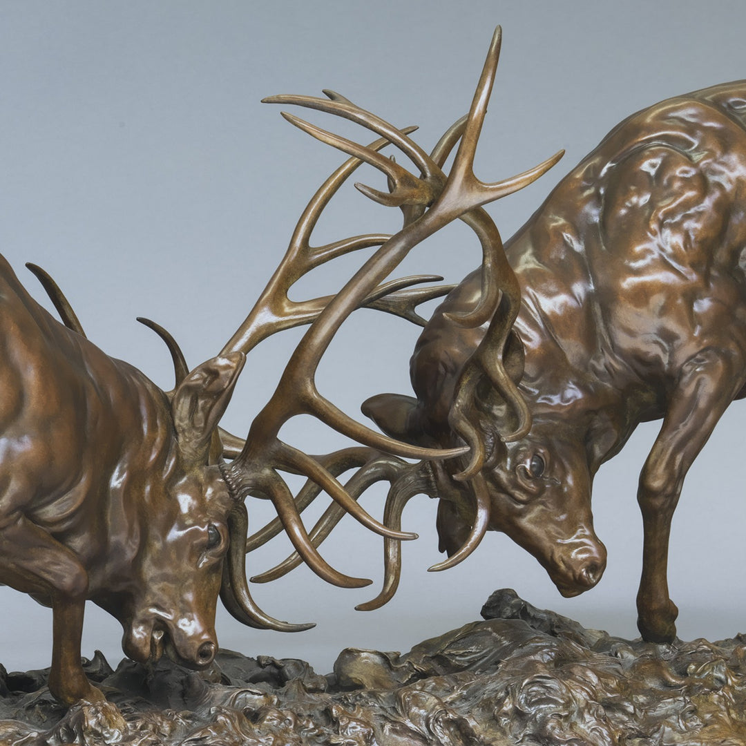 Bronze sculpture of two red deer stags in mid-rut, antlers locked in a dynamic head-to-head clash, highly detailed musculature and patina, mounted on a textured bronze base.