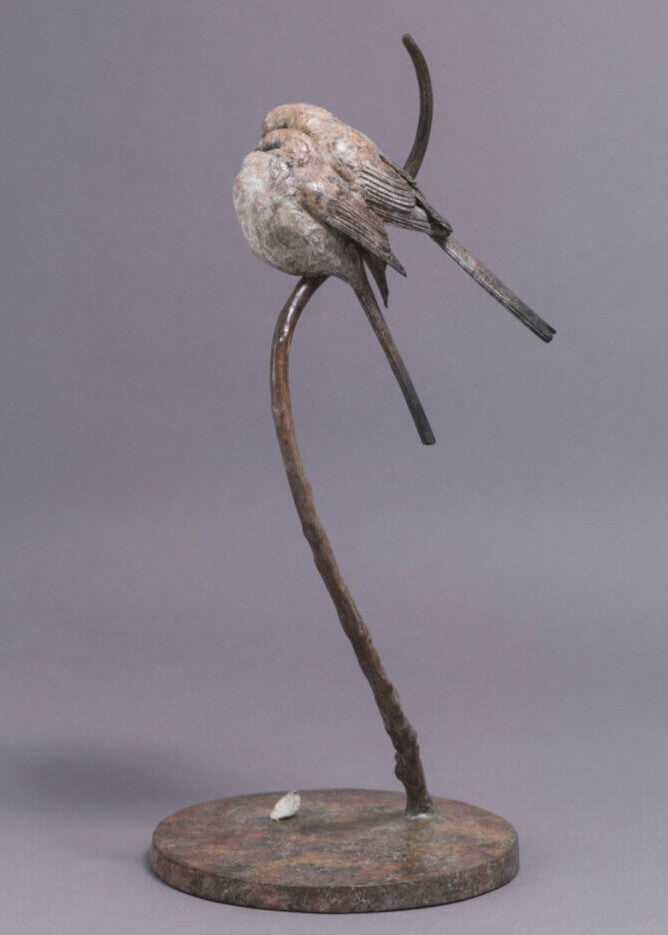 A delicate bronze sculpture of two long-tailed tits nestled together on a sweeping branch, their rounded forms and soft patinated tones capturing warmth, intimacy and the gentle character of these much-loved British birds.