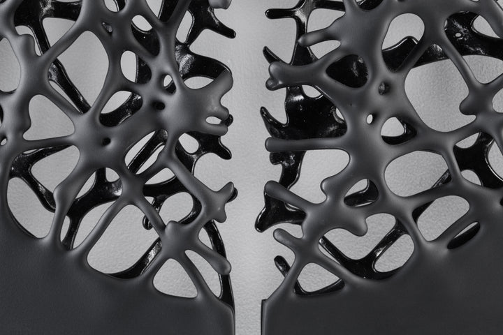 Tracy Nicholls glass wall sculpture Riven — a one-off artwork of two black glass panels forming an orb when placed side by side. The intricate webbed structure undulates with organic movement, featuring a satin-smooth exterior contrasting with a glossy black inner surface that glimmers through the open lace-like forms.