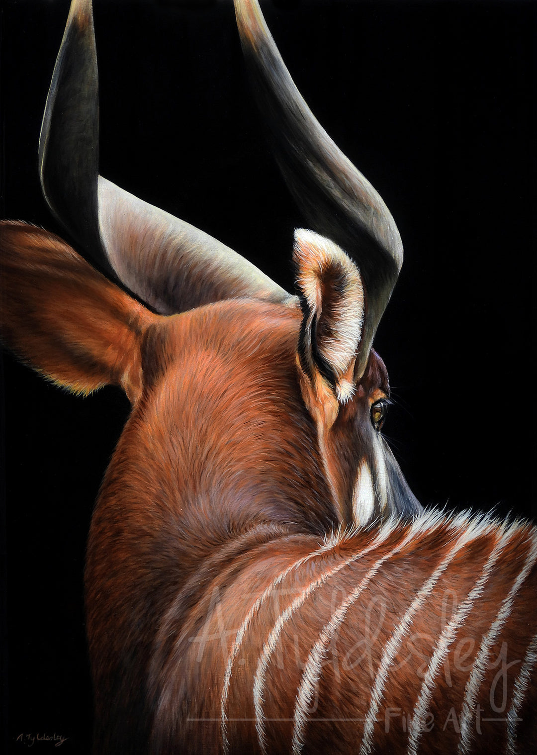 Hyperrealistic painting of a bongo antelope viewed from behind, showcasing its spiralled horns, russet coat, and white stripes against a deep black background.