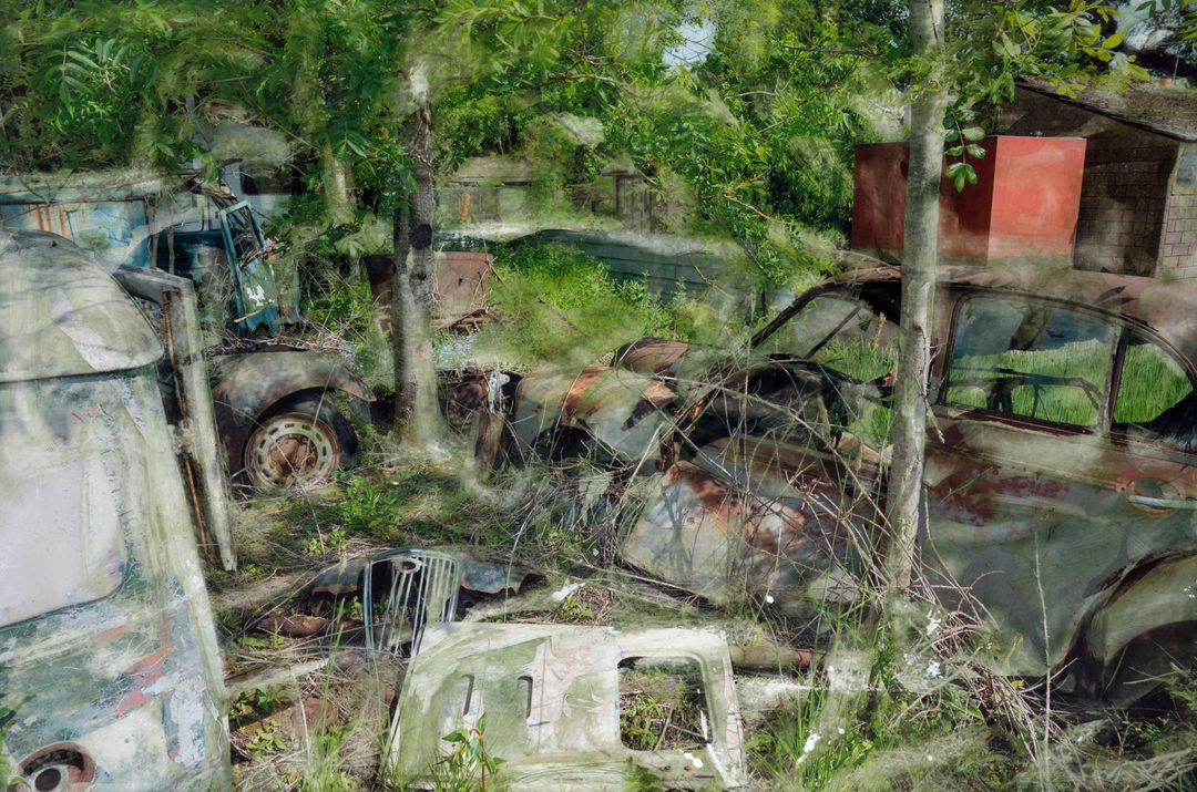 An eerie yet poetic composition of rusted cars and disused vehicle parts overtaken by wild greenery. Trees grow through corroded bonnets and windshields, while a faded red structure peeks through the foliage. Soft overlays and chemical-like textures give the scene a painterly, dreamlike quality—blending dereliction with renewal in a haunting meditation on time and decay.