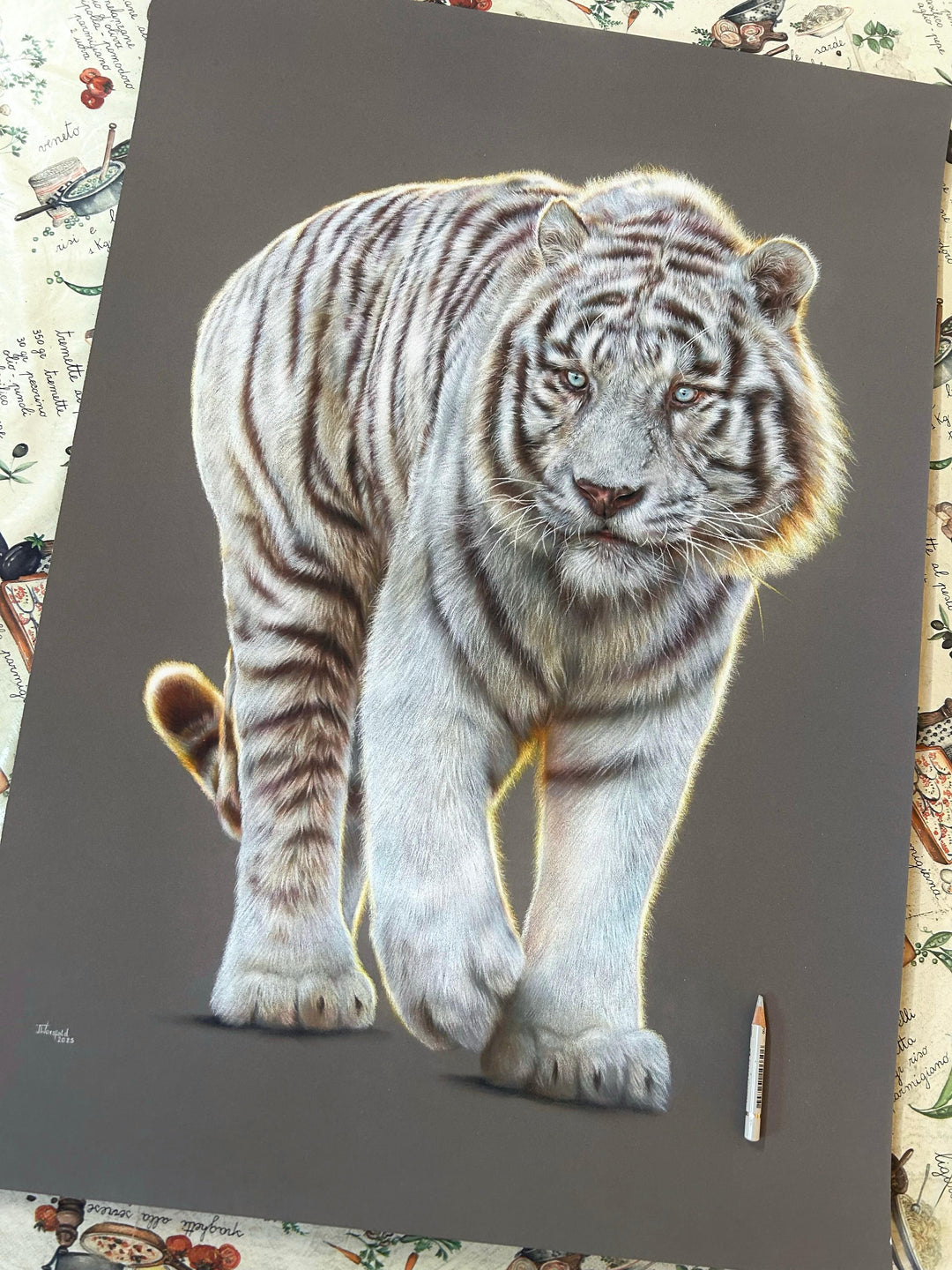 Hyperrealistic coloured pencil drawing of a leucistic Bengal tiger titled Whitewalker, created by Jemma Worsfold. The tiger, named Mohan, is depicted mid-step with striking blue eyes and soft white fur marked by light brown stripes, rendered in exquisite detail on dark grey pastelmat board.