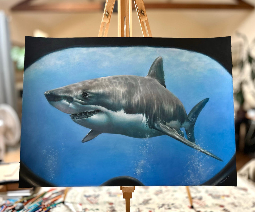 Great White, an original coloured pencil artwork on dark grey Pastelmat board, depicting a hyperrealistic great white shark seen through the curved lens of a diver’s mask, with vivid blue ocean depth, light reflections, and lifelike detailing.