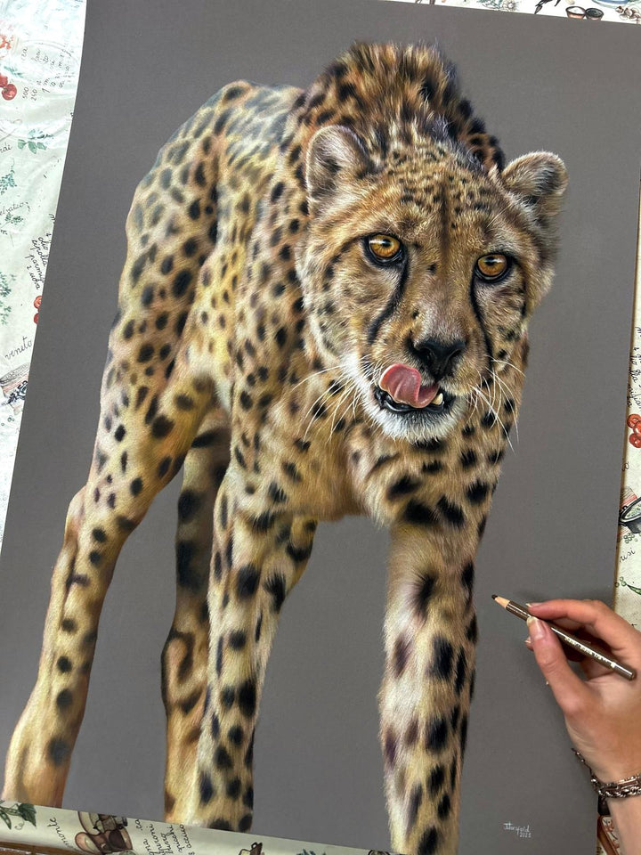 “Temptation” by Jemma Worsfold – a hyperrealistic coloured pencil drawing of a cheetah with golden eyes and tongue mid-lick, created on dark grey Clairfontaine Pastelmat. A one-off original capturing power, beauty, and instinct.