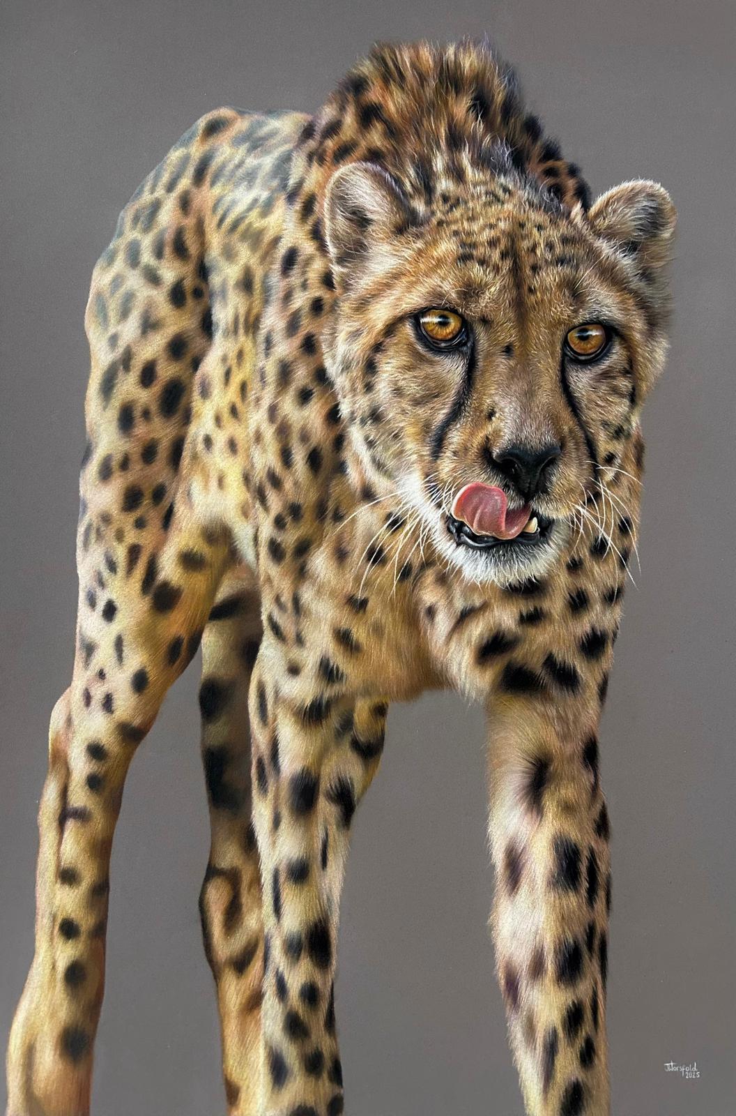 “Temptation” by Jemma Worsfold – a hyperrealistic coloured pencil drawing of a cheetah with golden eyes and tongue mid-lick, created on dark grey Clairfontaine Pastelmat. A one-off original capturing power, beauty, and instinct.
