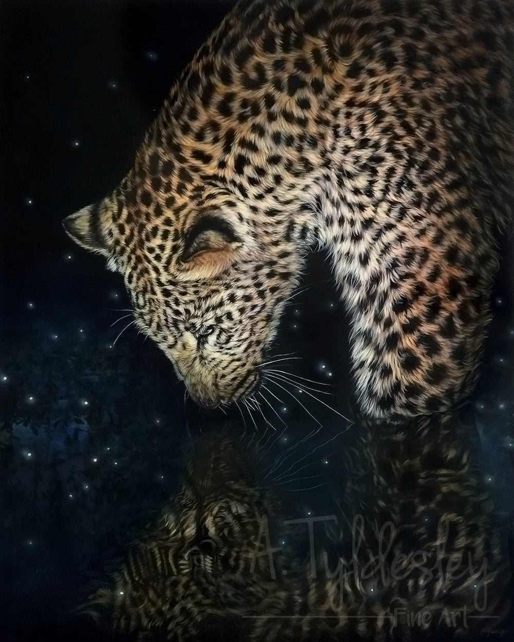 A leopard gazes into a star-speckled water reflection at night, its golden fur glowing against the dark background.
