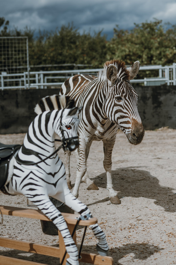 Hand-painted wooden rocking zebra with black leather saddle, mounted on a dark oak safety stand.
