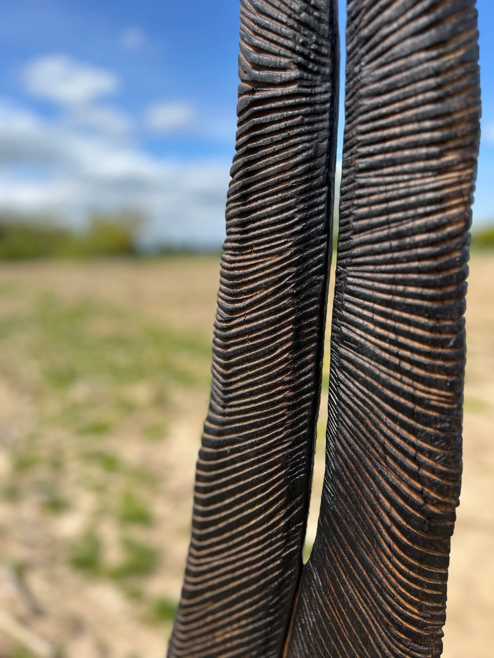 Tall oak sculpture by Glen Farrelly titled Beltane, carved with fine rhythmic grooves and finished using the Yakisugi technique. Charred blackened wood with bronze undertones, symbolising spring, fertility, and renewal.