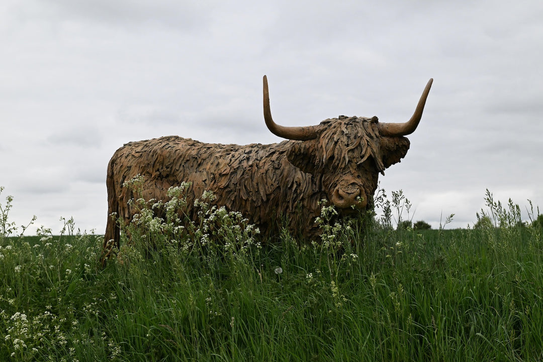 ‘Highland Cow: Life Size’ by Hamish Mackie, a life-size limited-edition bronze sculpture depicting a Scottish Highland cow standing in a grassy field. The sculpture features long, sweeping horns, a broad muzzle and a heavily textured, shaggy coat falling over the animal’s eyes. Finished in warm earthy brown bronze, the realistic wildlife sculpture captures the distinctive character and rugged appearance of the Highland breed.