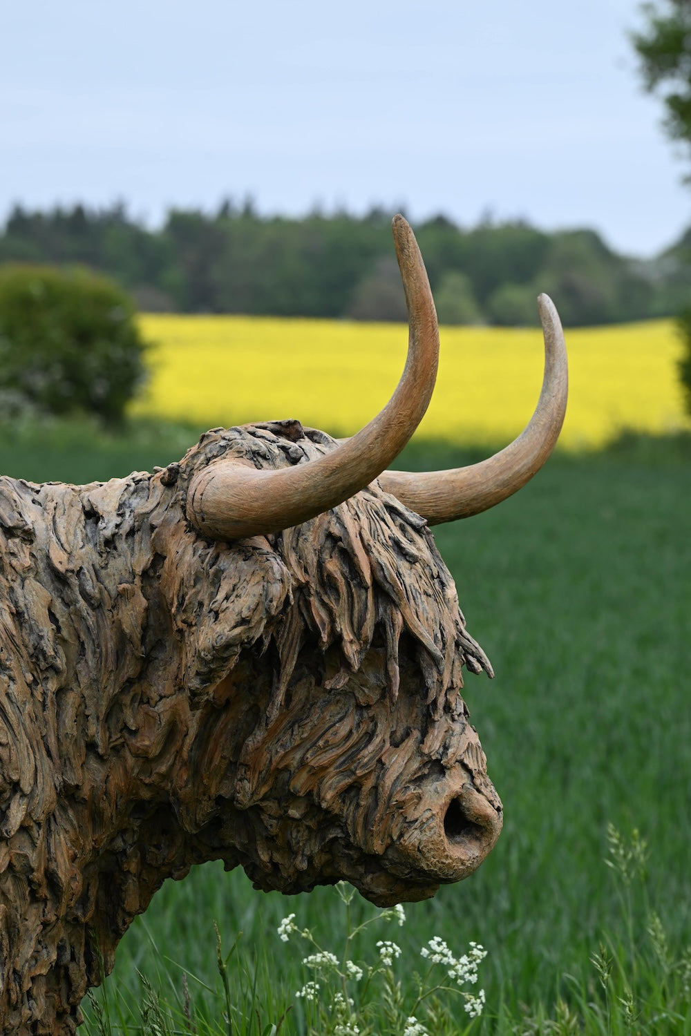 ‘Highland Cow: Life Size’ by Hamish Mackie, a life-size limited-edition bronze sculpture depicting a Scottish Highland cow standing in a grassy field. The sculpture features long, sweeping horns, a broad muzzle and a heavily textured, shaggy coat falling over the animal’s eyes. Finished in warm earthy brown bronze, the realistic wildlife sculpture captures the distinctive character and rugged appearance of the Highland breed.