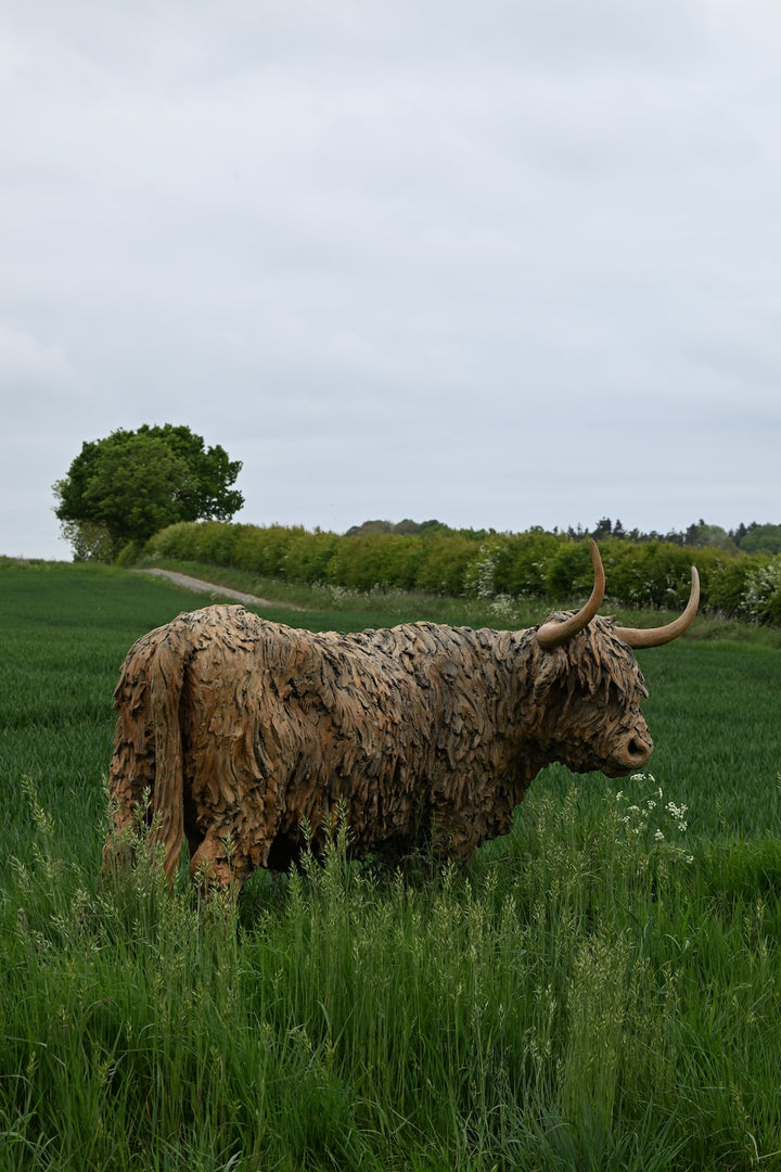 ‘Highland Cow: Life Size’ by Hamish Mackie, a life-size limited-edition bronze sculpture depicting a Scottish Highland cow standing in a grassy field. The sculpture features long, sweeping horns, a broad muzzle and a heavily textured, shaggy coat falling over the animal’s eyes. Finished in warm earthy brown bronze, the realistic wildlife sculpture captures the distinctive character and rugged appearance of the Highland breed.