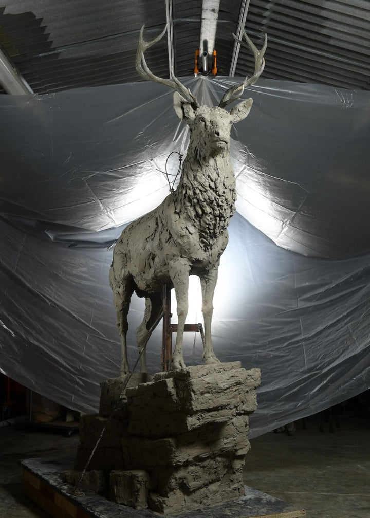 ‘Red Stag: Life Size’ by Hamish Mackie, a monumental limited-edition bronze wildlife sculpture depicting a mature Scottish Highland red deer stag standing alert on a rugged rocky outcrop. Featuring an imposing set of branching antlers, a powerful muscular body and richly textured coat, the sculpture captures the strength, dignity and commanding presence of a stag surveying its territory. Photographs show the original hand-modelled clay sculpture prior to bronze casting.