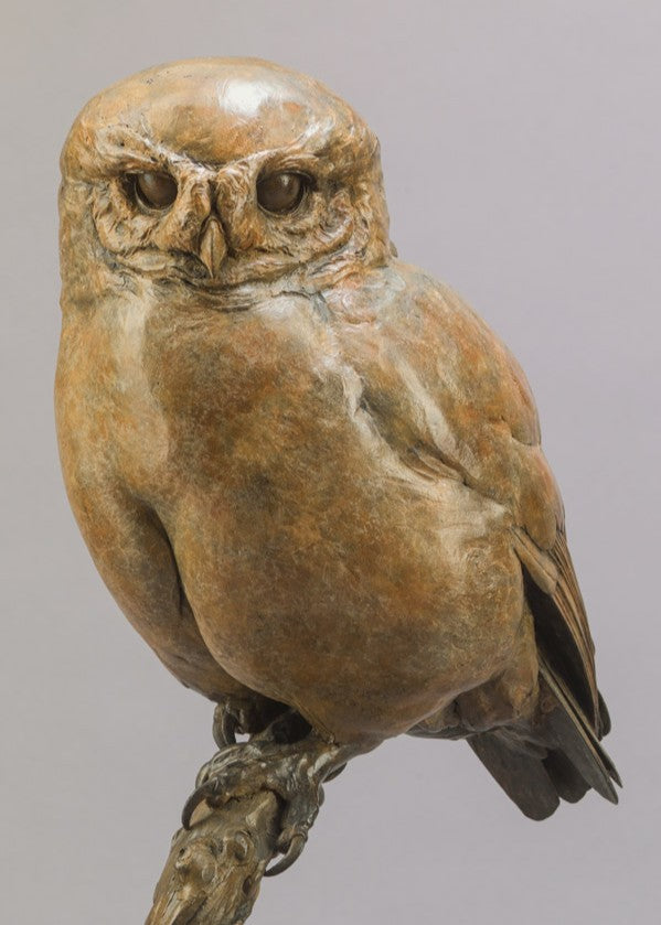 Life-size bronze of a Little Owl by Nick Bibby, perched alertly on a twisting bronze branch, with intricate feather textures and a warm multi-tonal patina that highlights the bird’s focused, characterful presence.