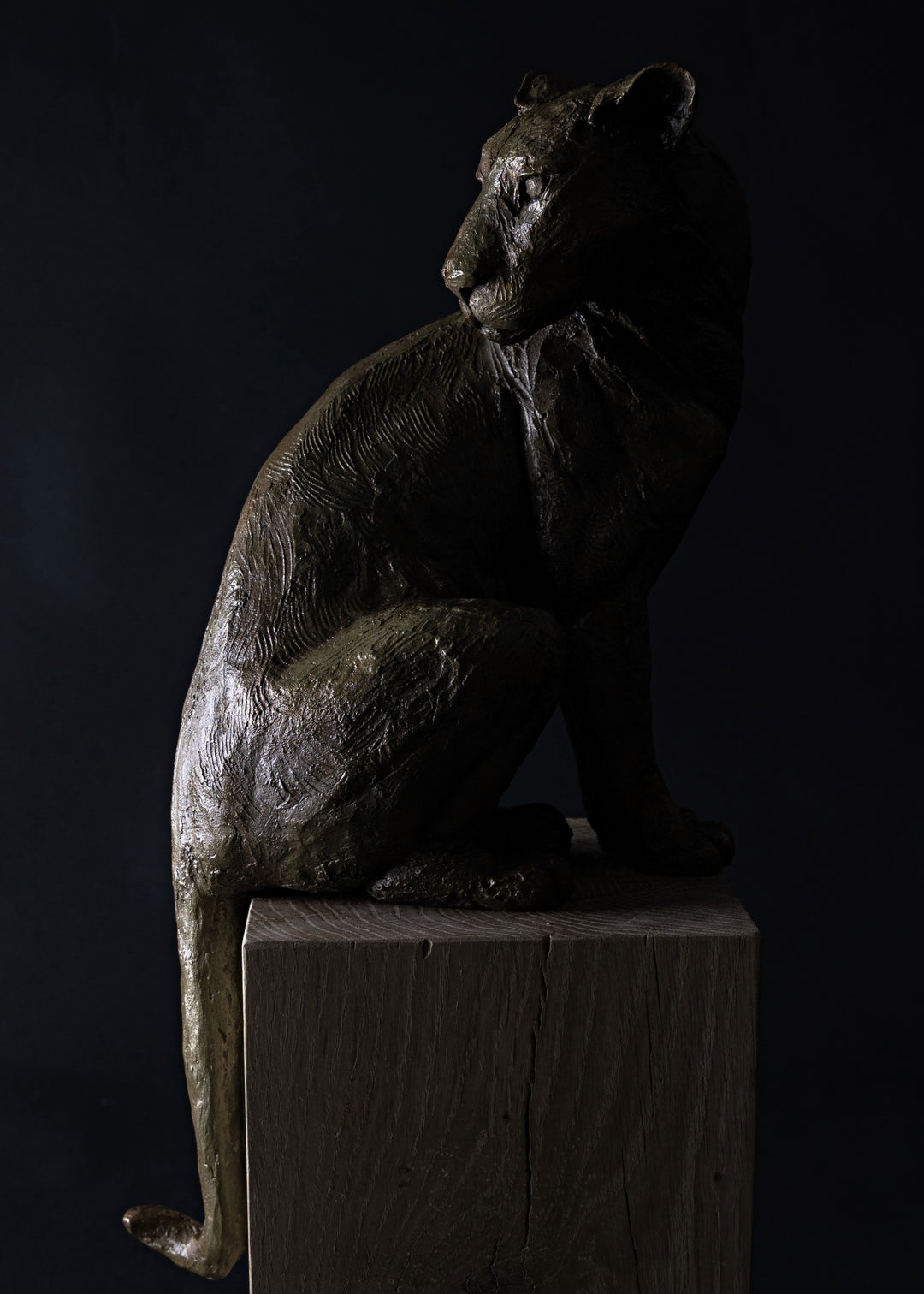 Sculpted panther by Lucy d’Auvergne in dark cold cast bronze with a sleek, muscular form and subtle textured surface, poised on a solid oak plinth against a deep shadowed background.