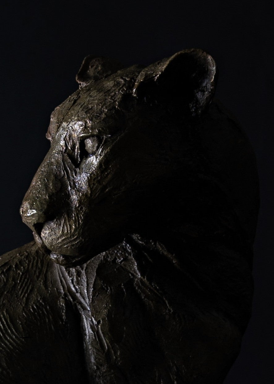 Sculpted panther by Lucy d’Auvergne in dark cold cast bronze with a sleek, muscular form and subtle textured surface, poised on a solid oak plinth against a deep shadowed background.