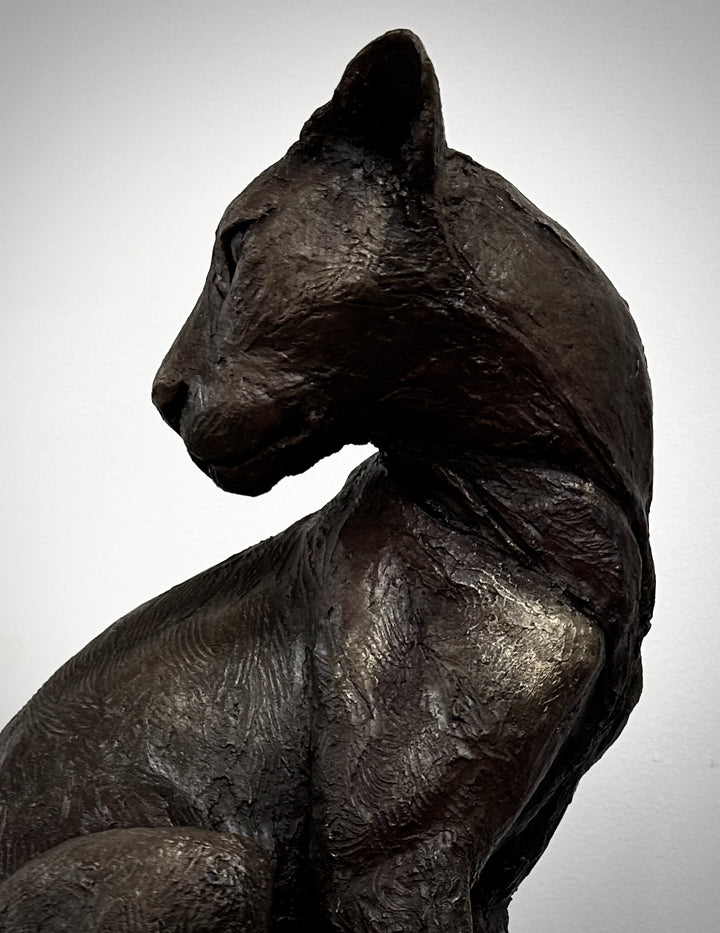 Sculpted panther by Lucy d’Auvergne in dark cold cast bronze with a sleek, muscular form and subtle textured surface, poised on a solid oak plinth against a deep shadowed background.