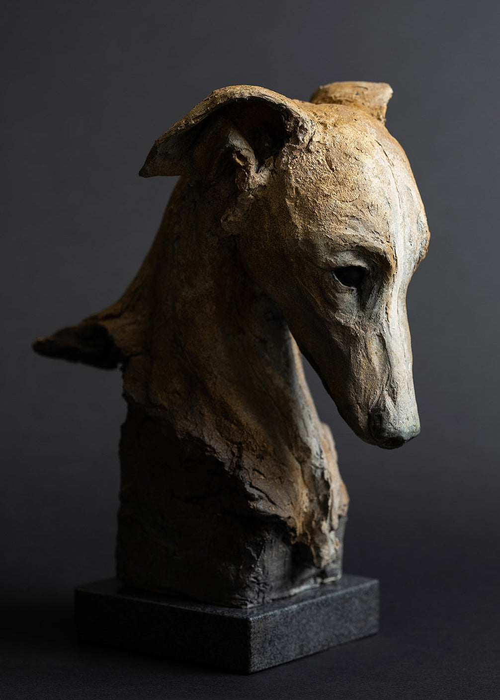 Sculpture of a contemplative dog’s head by Lucy d’Auvergne, cast in slate with raw earth pigments creating warm ochre and umber tones with deep charcoal shadows, mounted on a polished granite base.